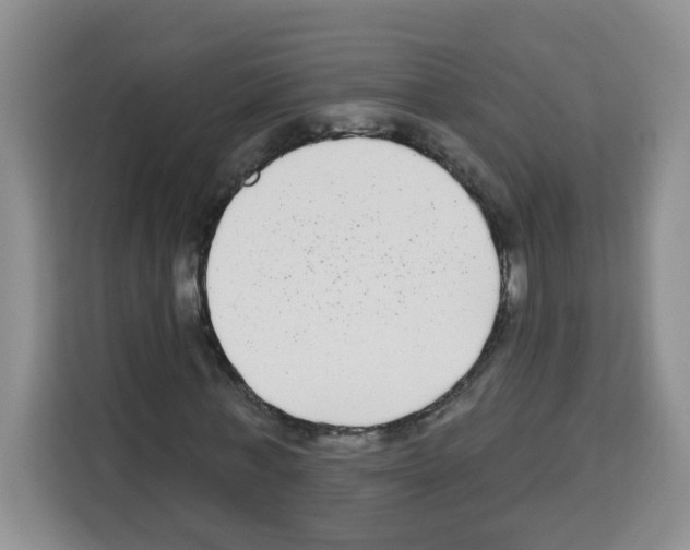 X0000113270771200910221058