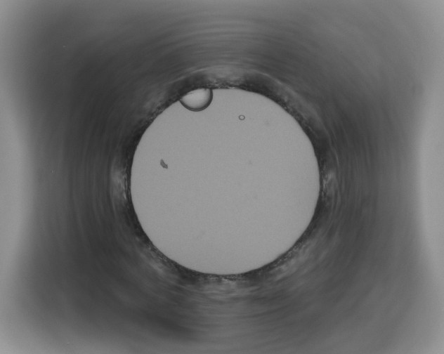 X0000113270772200910221058