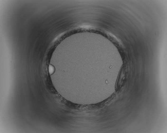 X0000113270776200910221058