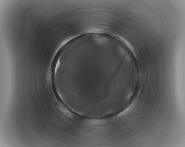 X0000113270779200910221058