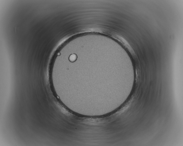 X0000113270780200910221058