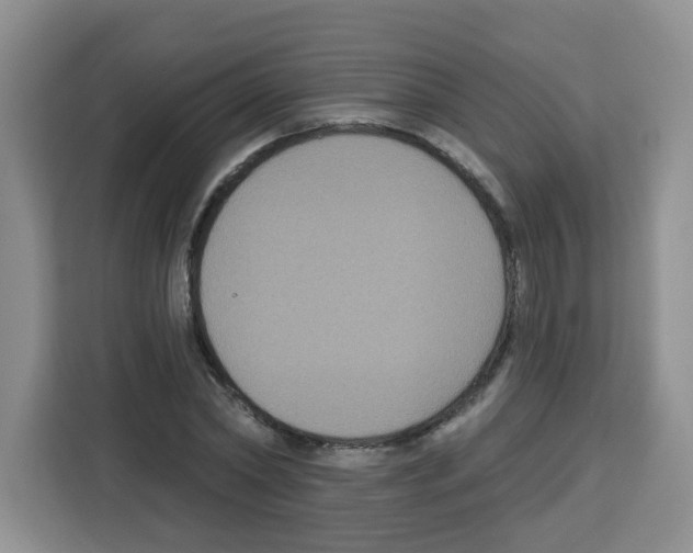 X0000113270782200910221058