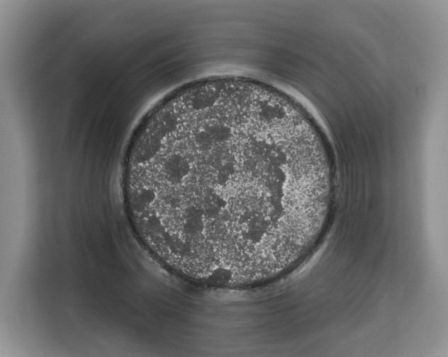 X0000113270783200910221058