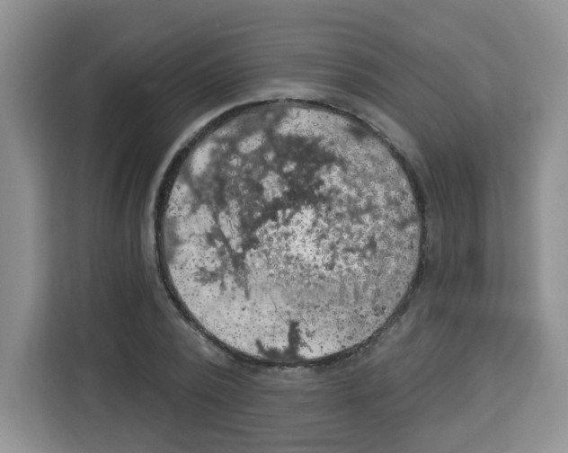 X0000113270784200910221058