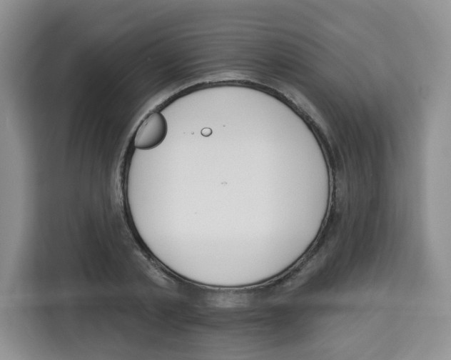 X0000113270789200910221058