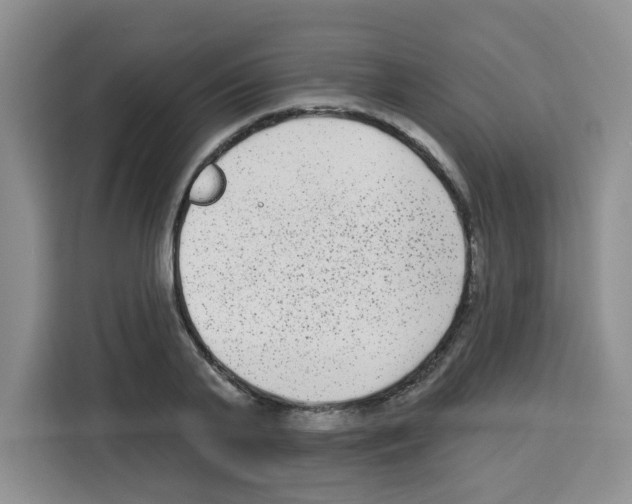 X0000113270791200910221058