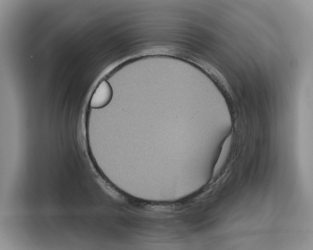 X0000113270792200910221058