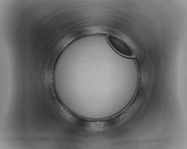 X0000113270793200910221058