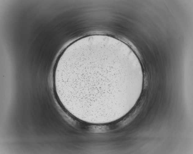 X0000113270795200910221058