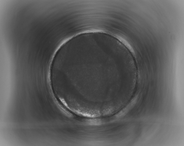 X0000113270797200910221058