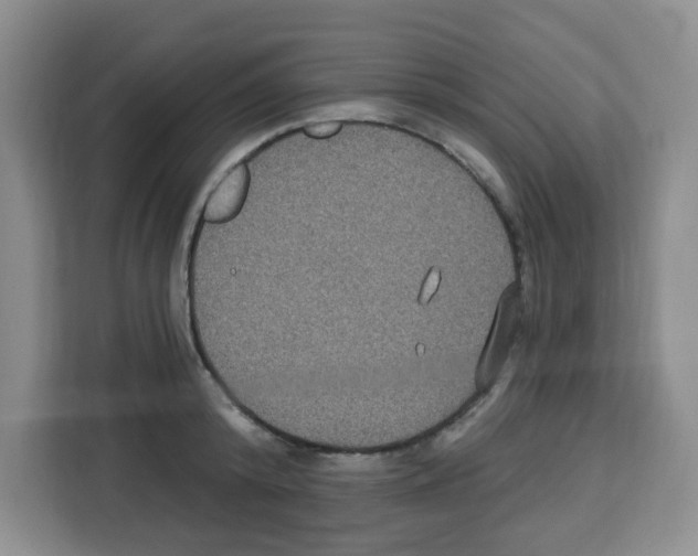 X0000113270800200910221058