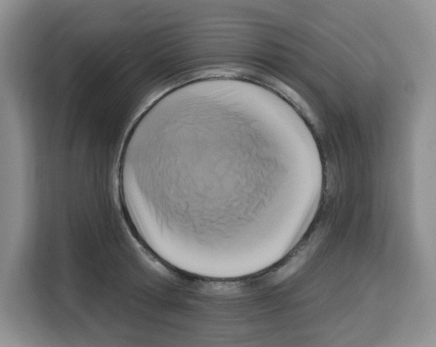 X0000113270802200910221058