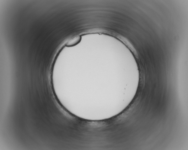 X0000113270805200910221058