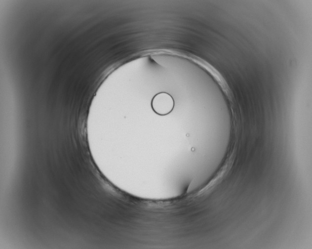 X0000113270809200910221058