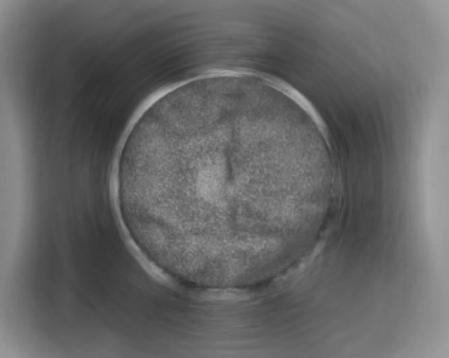 X0000113270811200910221058