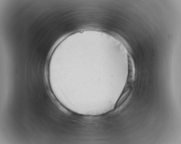 X0000113270812200910221058