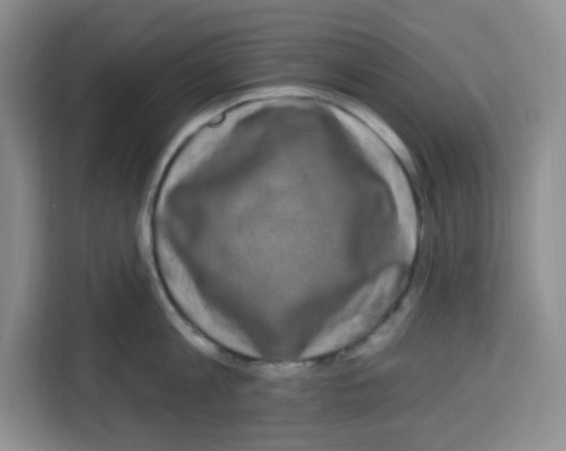 X0000113270813200910221058