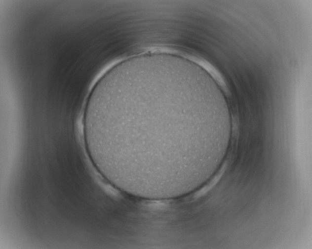 X0000113270814200910221058