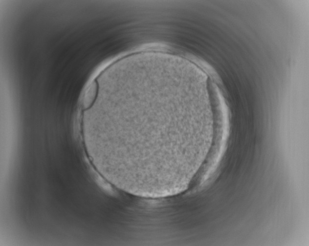 X0000113270816200910221058