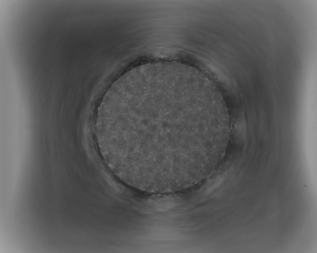 X0000113270817200910221057