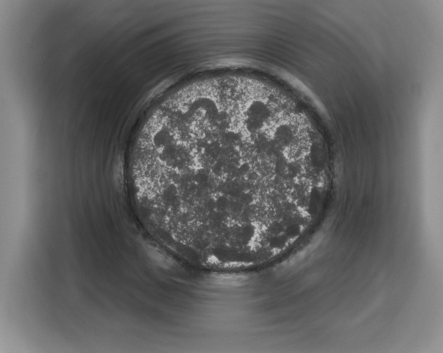 X0000113270825200910221057