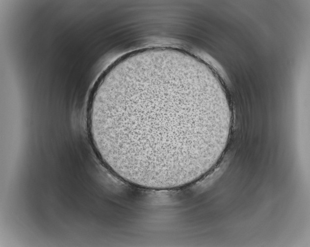 X0000113270828200910221057