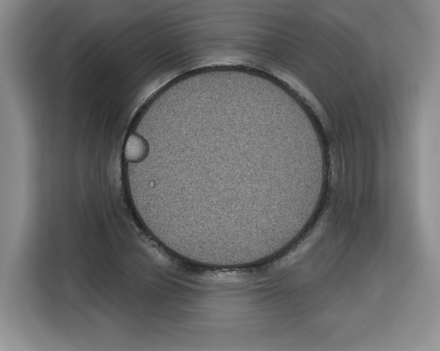 X0000113270834200910221057