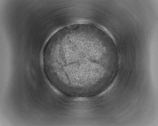 X0000113270835200910221057