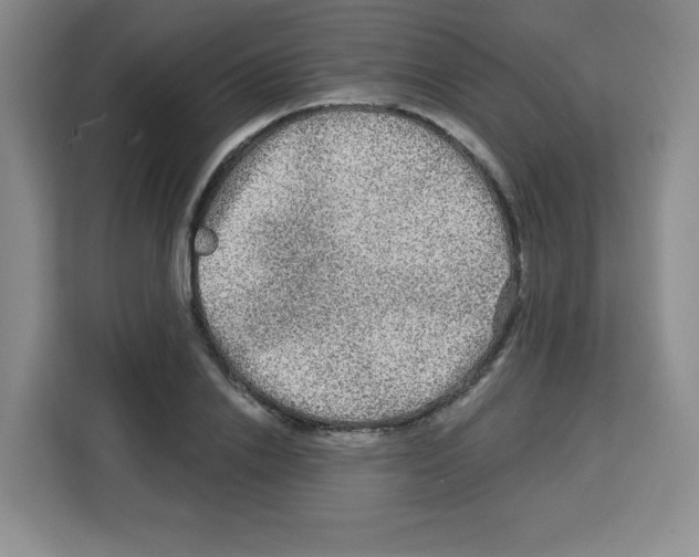 X0000113270838200910221057