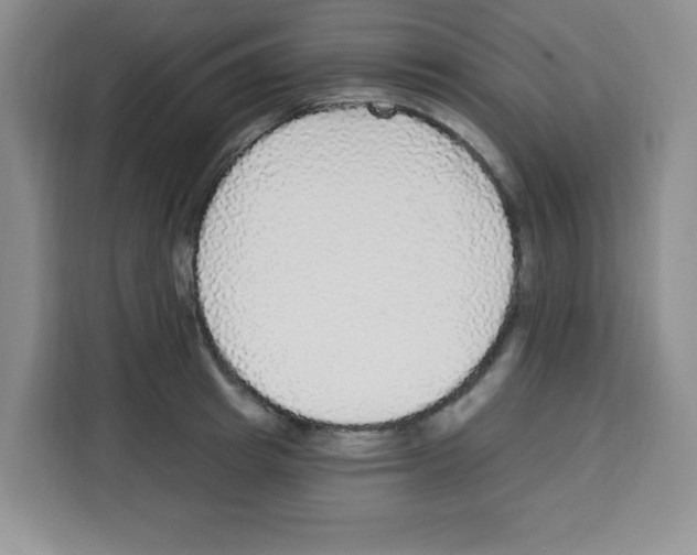 X0000113270849200910221057