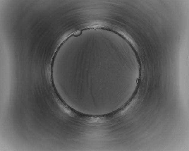 X0000113270850200910221057