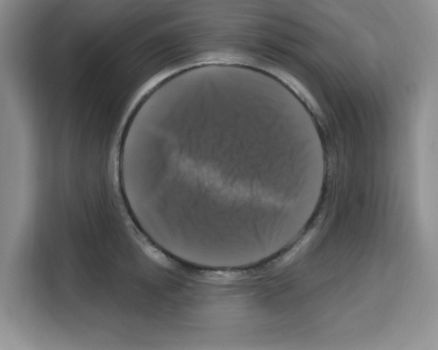 X0000113270854200910221058