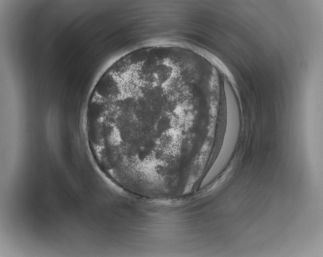 X0000113270855200910221058