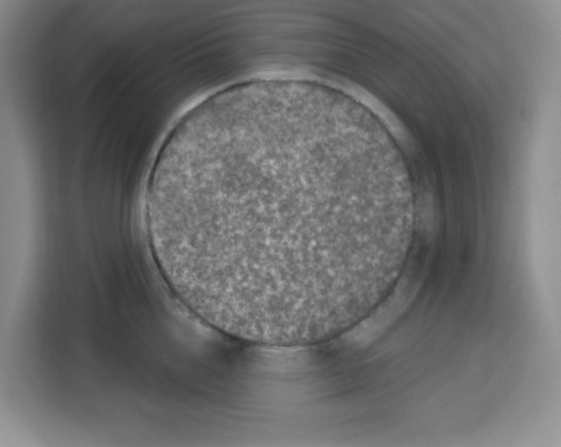 X0000113270856200910221058