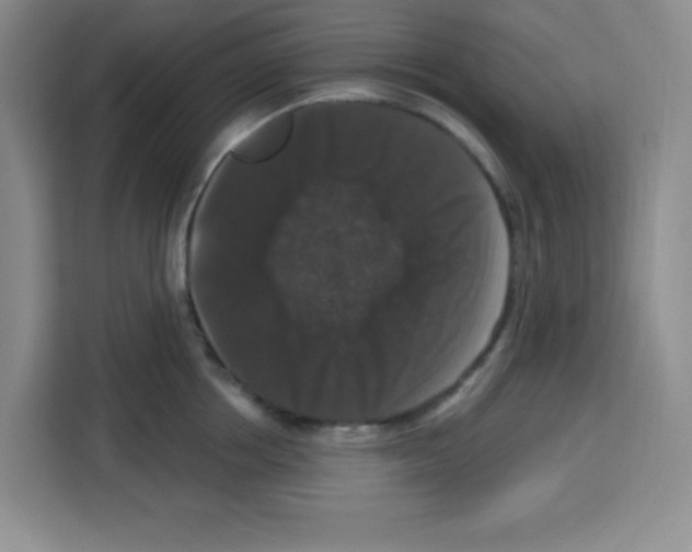 X0000113270858200910221058