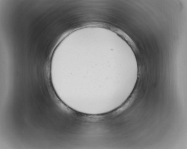 X0000113270860200910221058