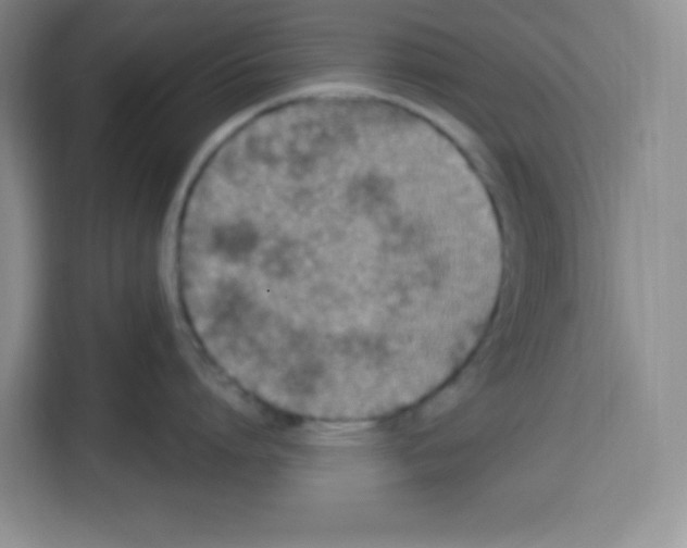 X0000113270864200910221058