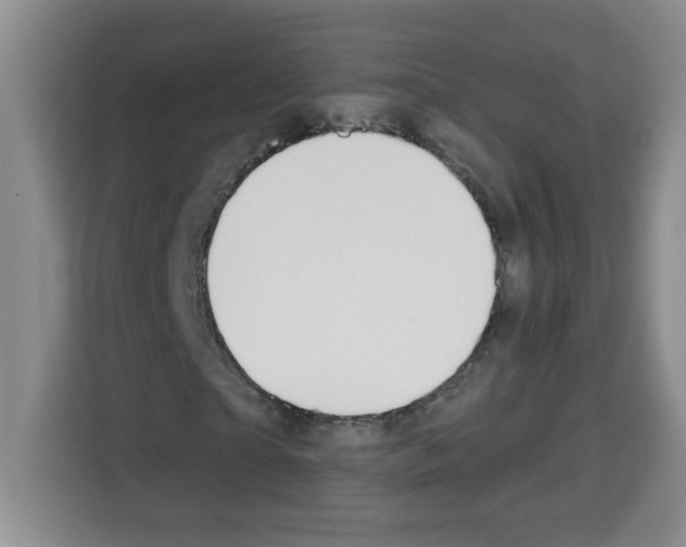 X0000113270865200910221057