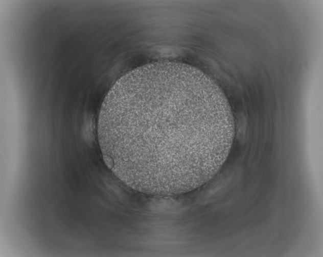 X0000113270866200910221057