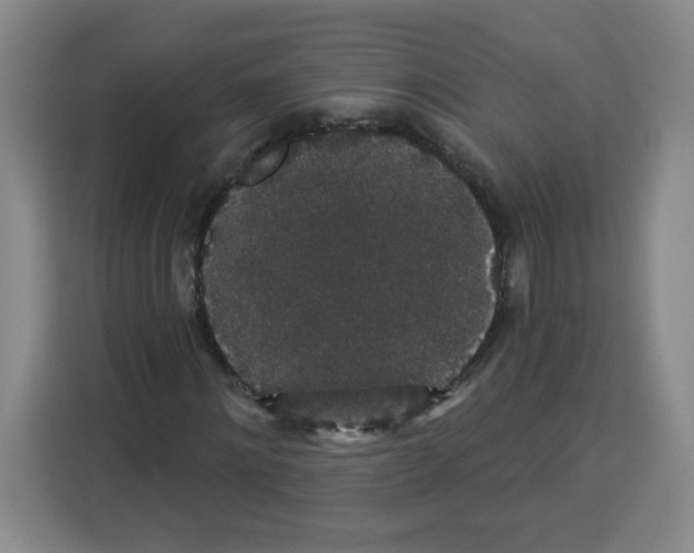 X0000113270868200910221057