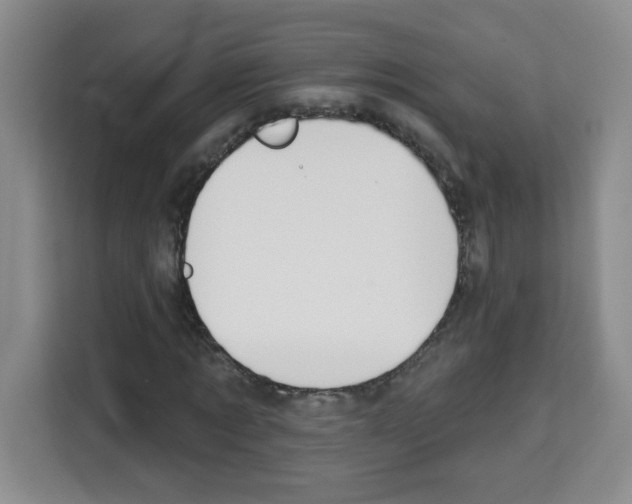 X0000113270869200910221057