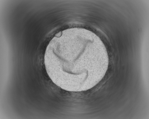 X0000113270870200910221057