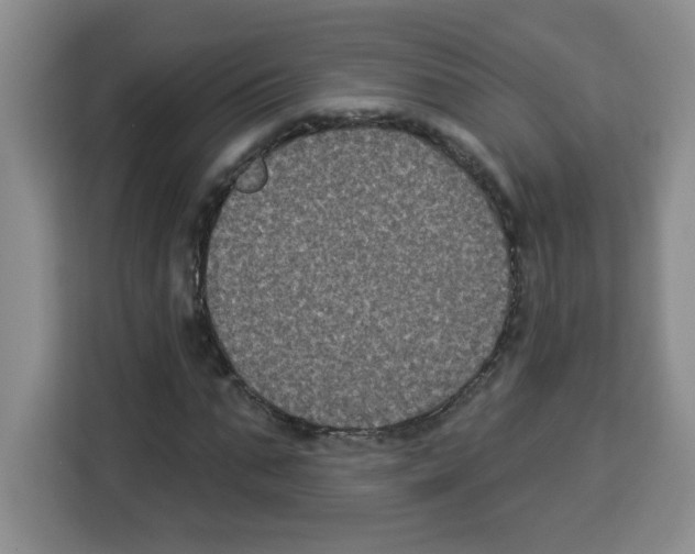 X0000113270871200910221057