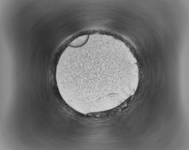 X0000113270872200910221057