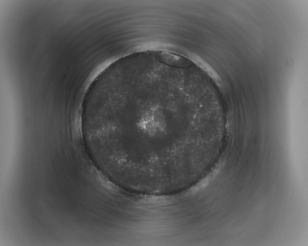 X0000113270877200910221057