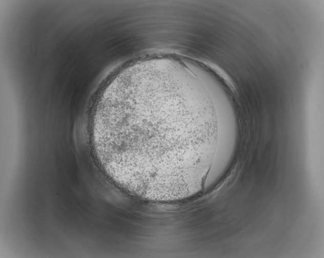 X0000113270878200910221057