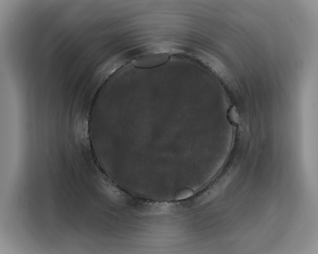 X0000113270881200910221057