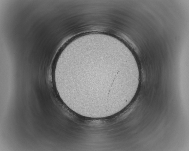 X0000113270883200910221057