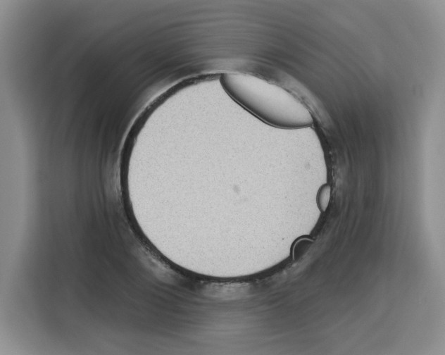 X0000113270884200910221057