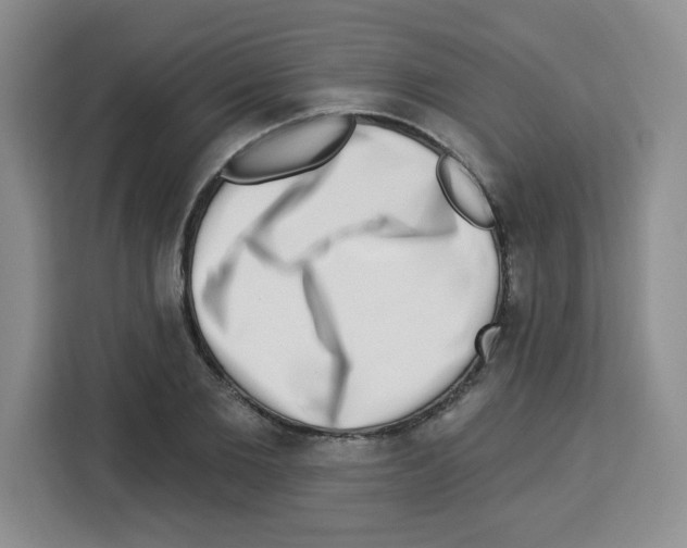 X0000113270885200910221057